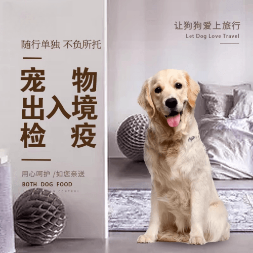 温州宠物托运到哥伦比亚猫狗宠物入境规定和