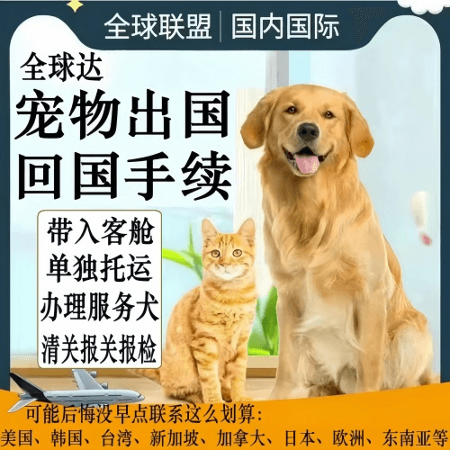 温州宠物托运到柬埔寨宠物入境规定和要求