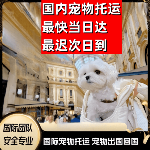 温州到澳大利亚（澳洲）宠物入境规定和要求