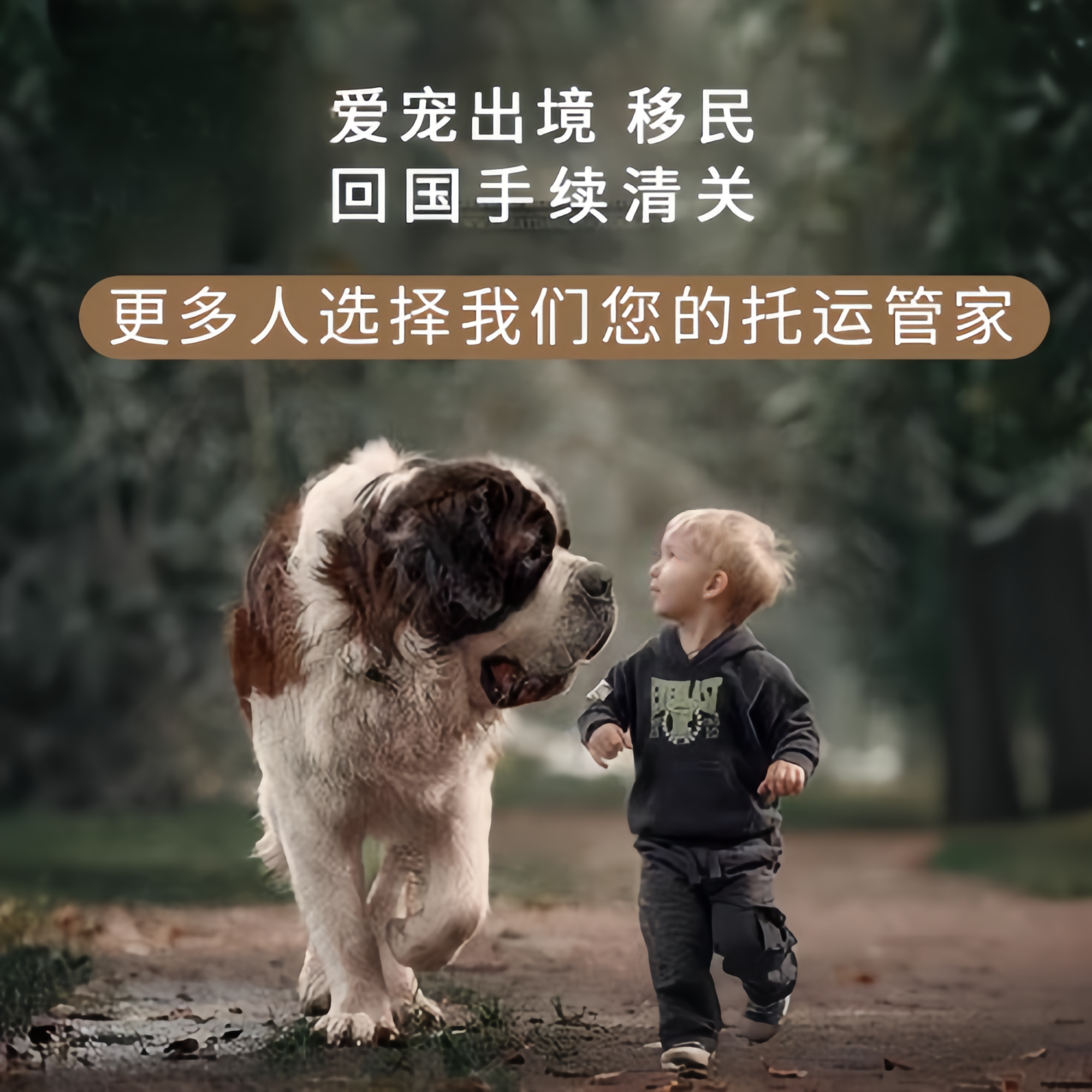 满财温州宠物全球达宠物托运在遵守入境目的地政策的条件