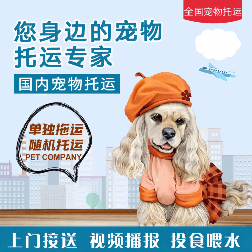 满财温州宠物全球达宠物托运作为专业的宠物运输代理机构